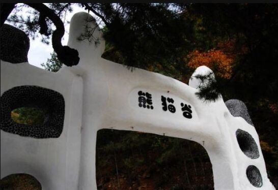 汉中佛坪熊猫谷电地暖项目
